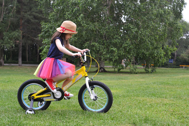 Детский велосипед Royal Baby Freestyle Space №1 Alloy 18 дюймов RB12-17